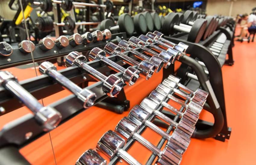 gym equipment wholesalers