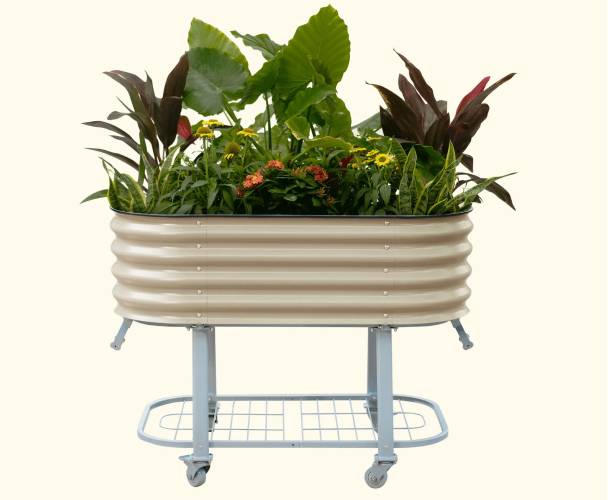 galvanized raised beds